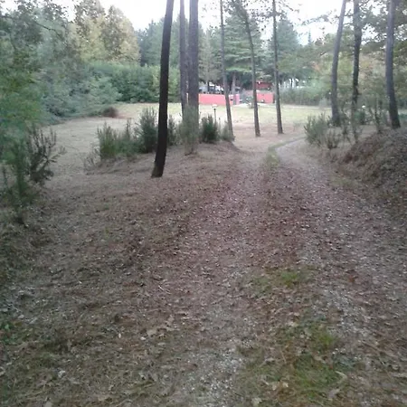 Bed & Breakfast Park View Capannori