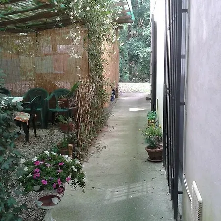 Bed & Breakfast Park View