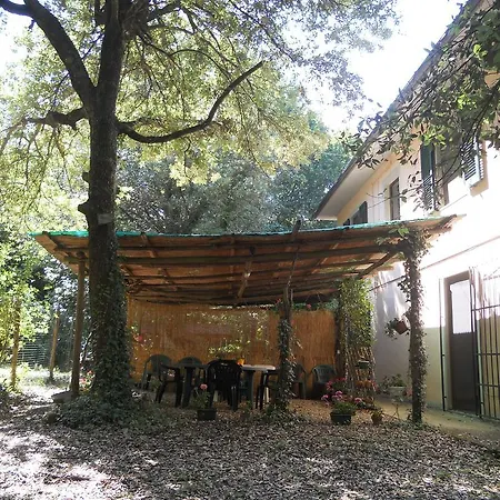 Park View Capannori