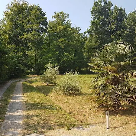 Park View