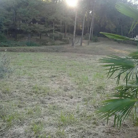 Bed & Breakfast Park View