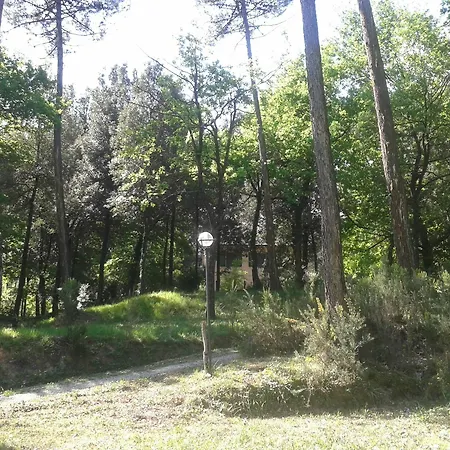 Park View