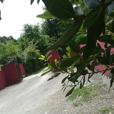 Bed & Breakfast Park View